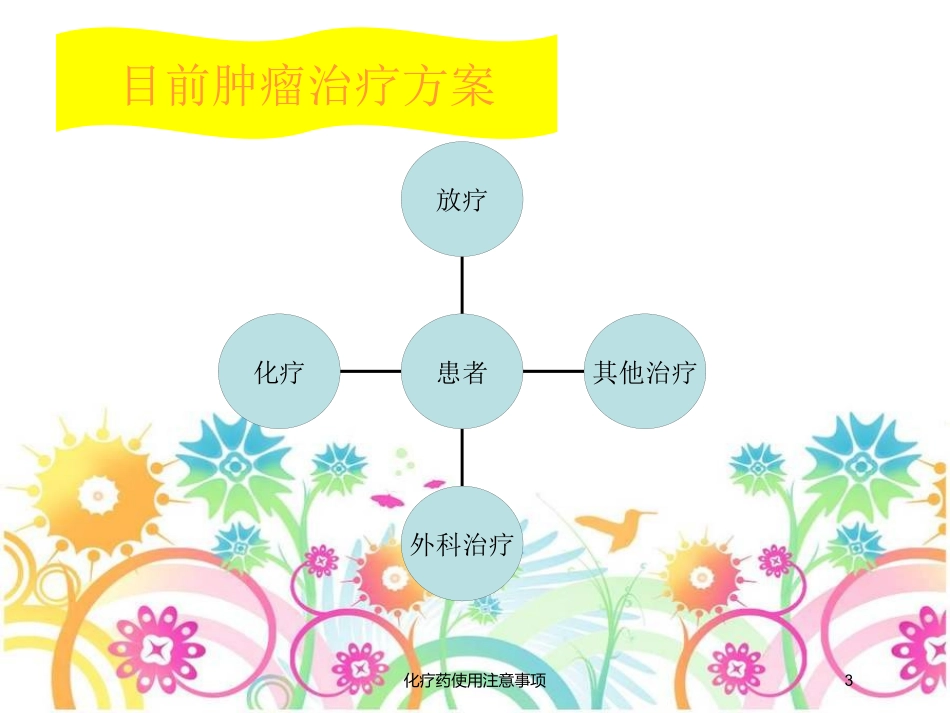 化疗药使用注意事项培训课件.pptx_第3页