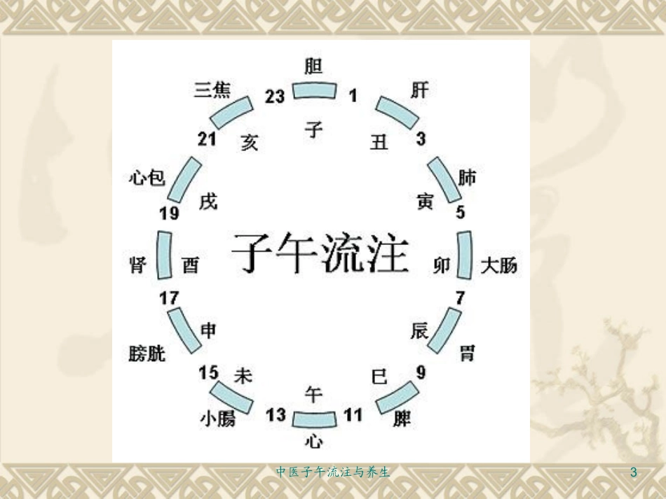 中医子午流注与养生培训课件.pptx_第3页
