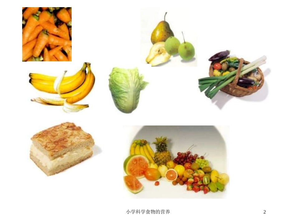 小学科学食物的营养培训课件.pptx_第2页