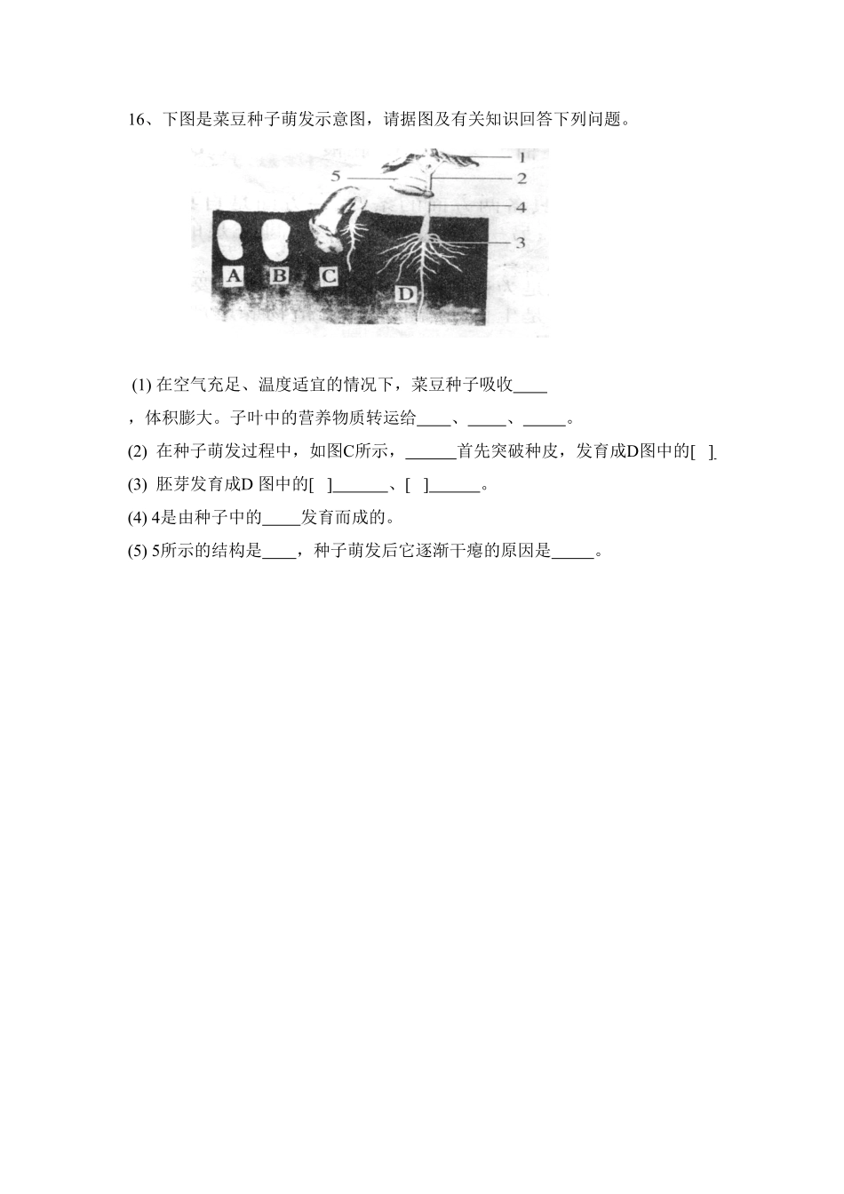 《种子的萌发》课时练试卷3含答案.pdf_第3页
