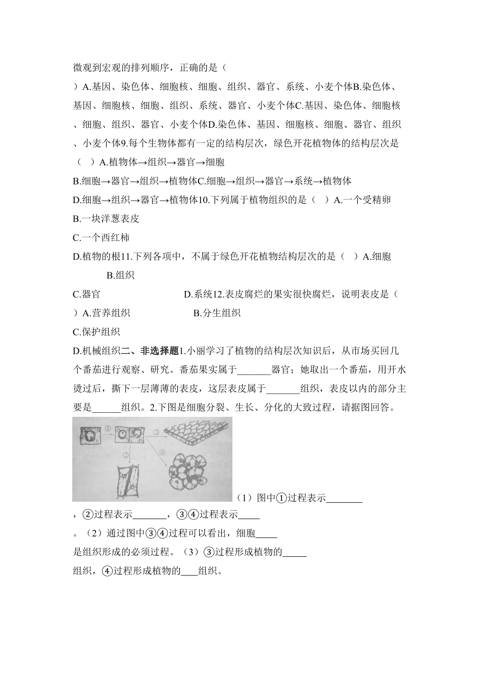 植物体的结构层次课时练试卷1含答案.pdf_第2页