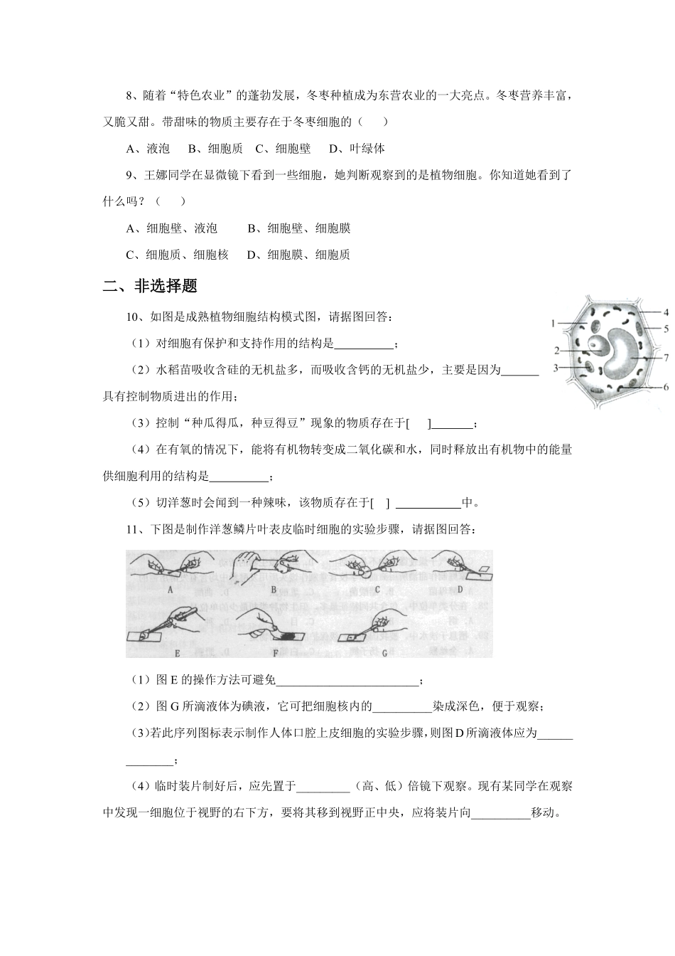 《植物细胞》课时练试卷1含答案.pdf_第2页