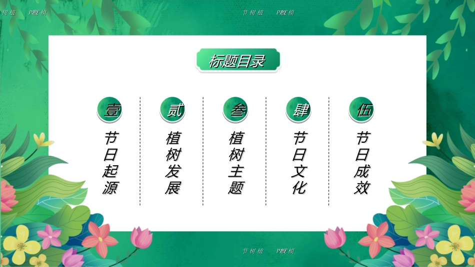 植树节主题班会24.ppt_第2页