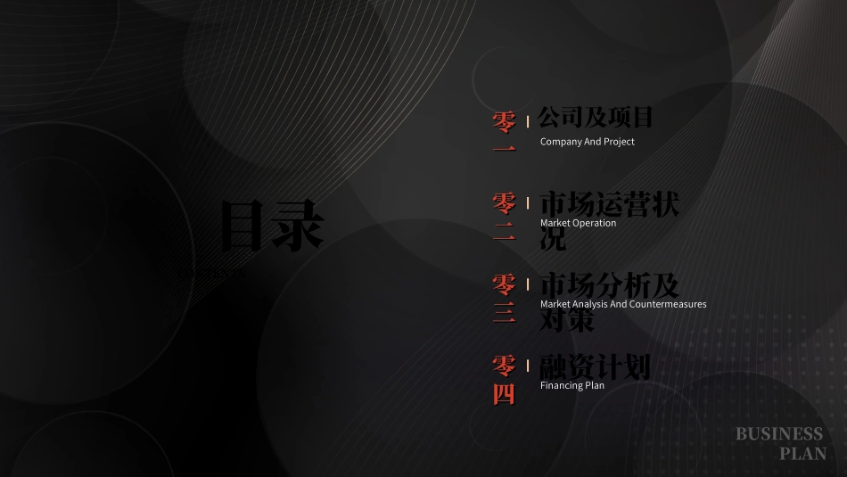 创业计划书融资计划书22.ppt_第2页