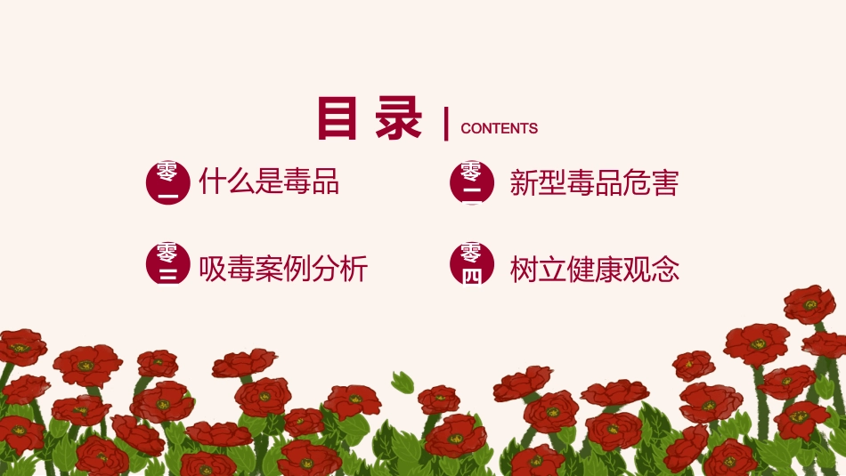 国际禁毒日 禁毒教育课件 (2).pptx_第2页