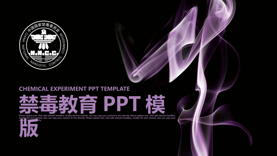国际禁毒日 禁毒教育课件 (31).pptx_第1页
