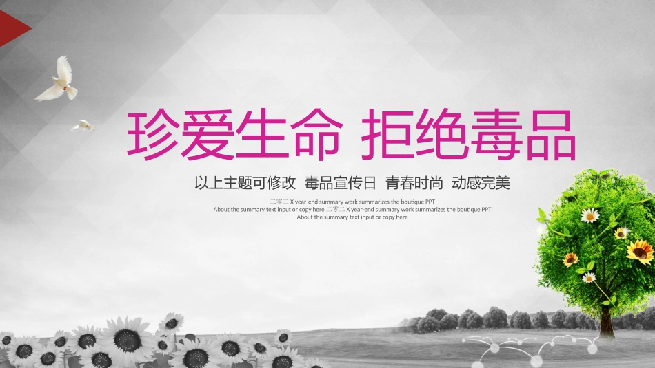 国际禁毒日 禁毒教育课件 (25).pptx_第1页