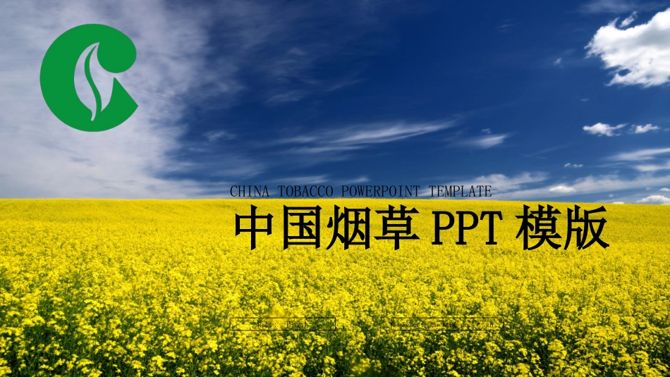 烟草戒烟模板26.ppt_第1页