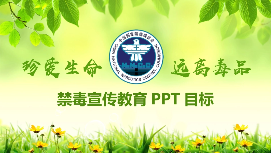 国际禁毒日 禁毒教育课件 (13).pptx_第1页