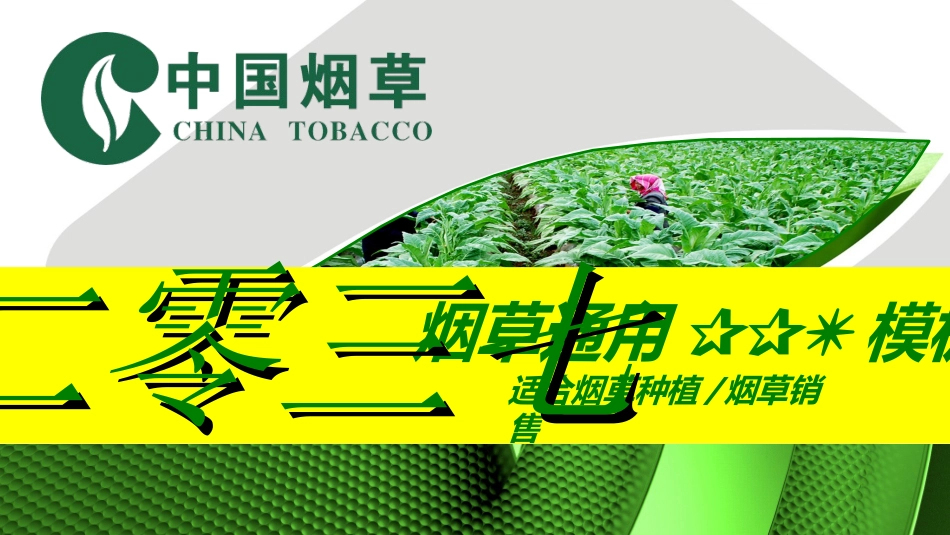 烟草戒烟模板34.ppt_第1页
