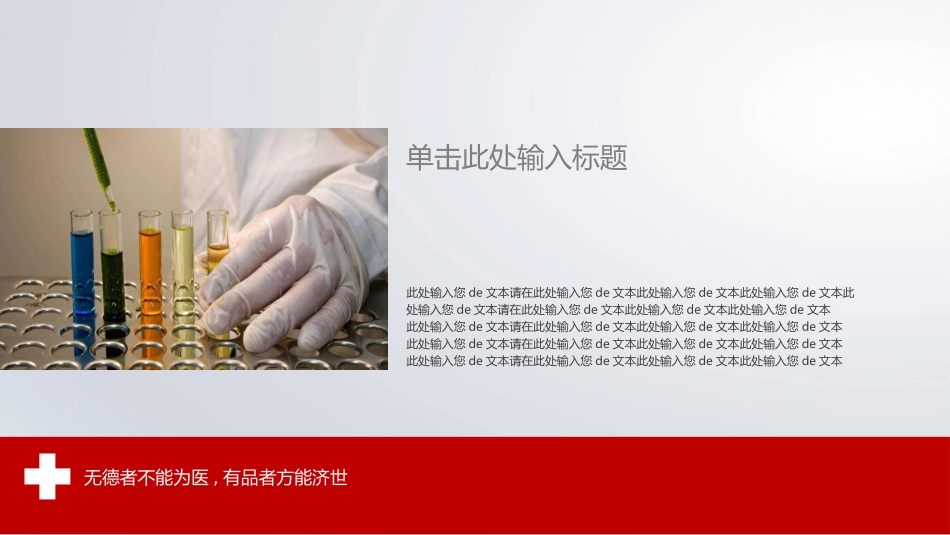 红十字医疗医院工作汇报PPT模板.pptx_第2页