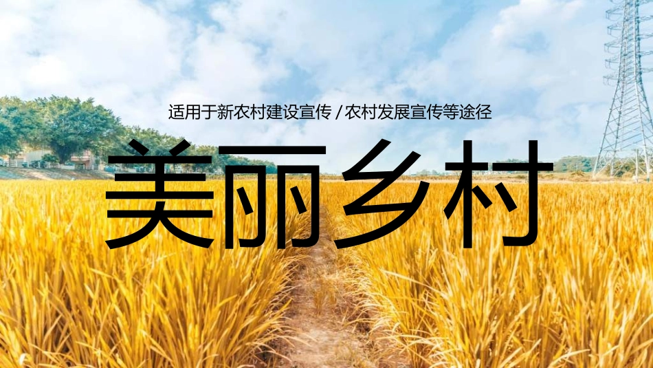 美丽乡村振兴规划432.ppt_第1页