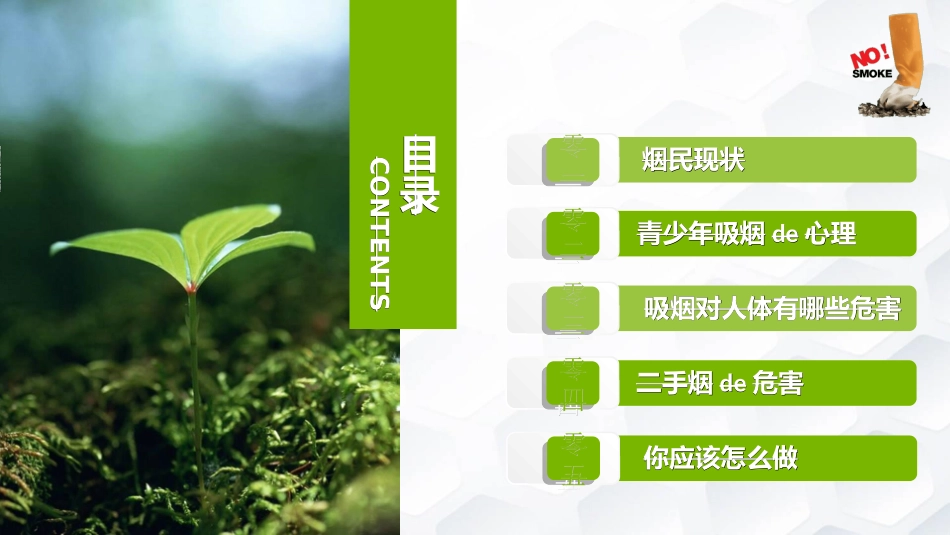 烟草戒烟模板232.ppt_第2页