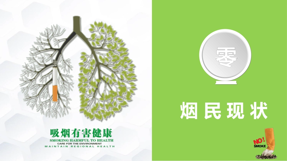 烟草戒烟模板232.ppt_第3页