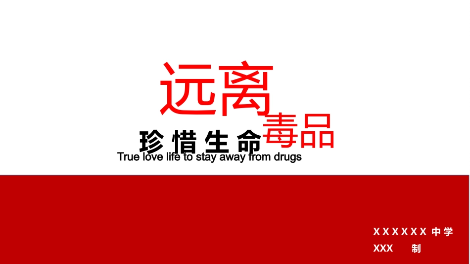 国际禁毒日 禁毒教育课件 (105).pptx_第1页