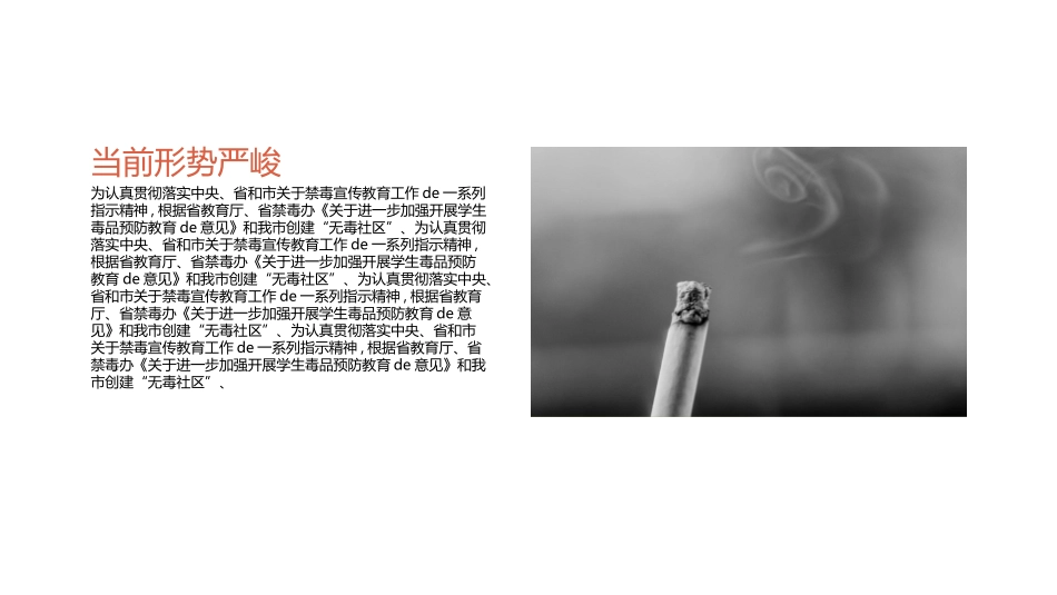 国际禁毒日 禁毒教育课件 (85).pptx_第2页