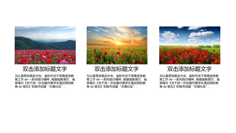 国际禁毒日 禁毒教育课件 (85).pptx_第3页