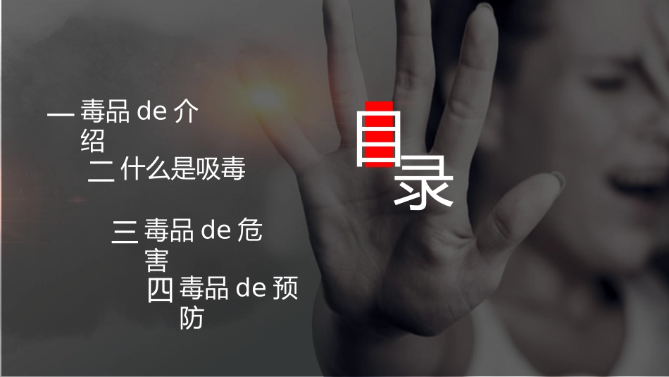 国际禁毒日 禁毒教育课件 (83).pptx_第2页