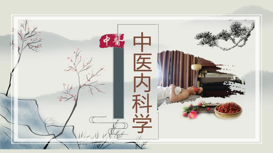 传统中医养生248.ppt_第1页