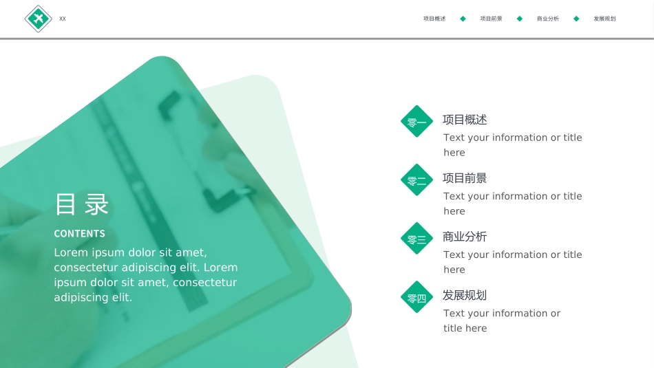 创业计划书融资计划书31.ppt_第2页