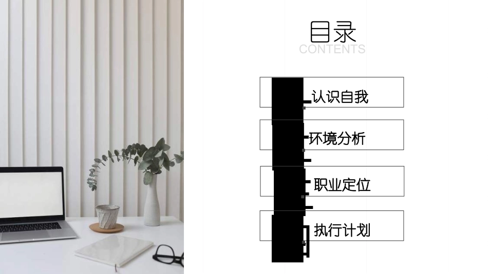 大学生职业规划54.ppt_第2页