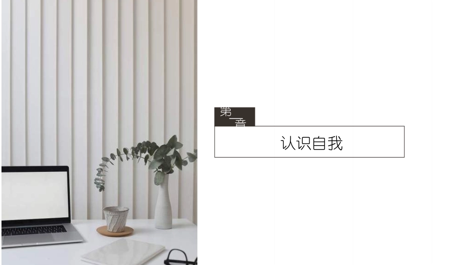 大学生职业规划54.ppt_第3页