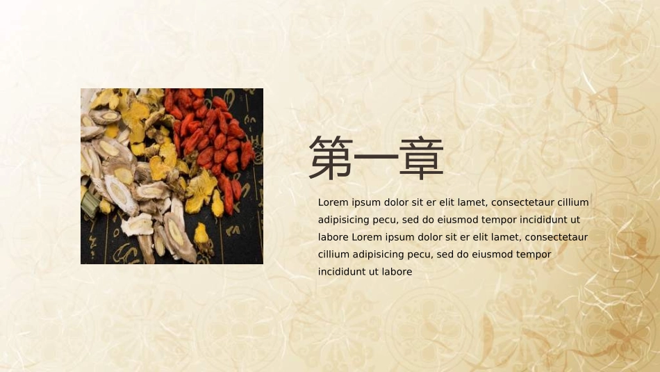 传统中医养生239.ppt_第3页