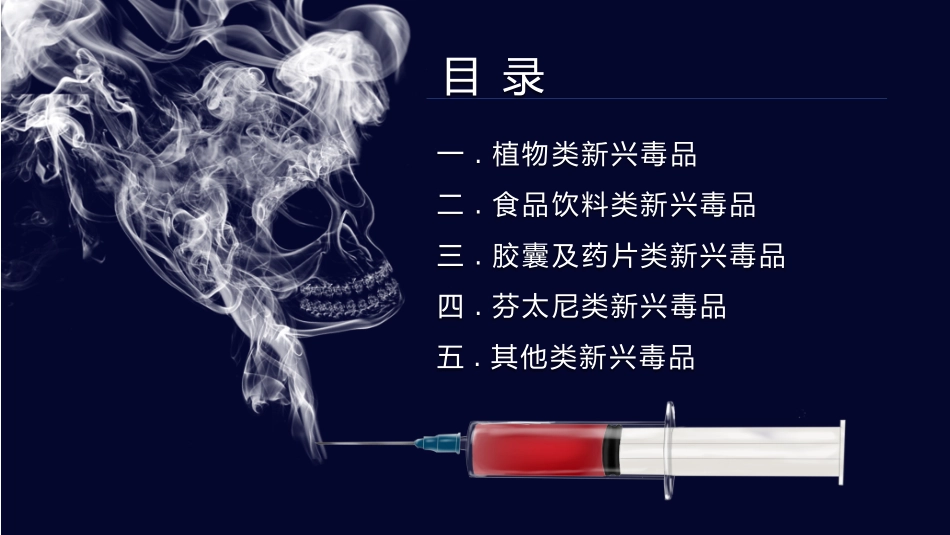 国际禁毒日 禁毒教育课件 (117).pptx_第2页