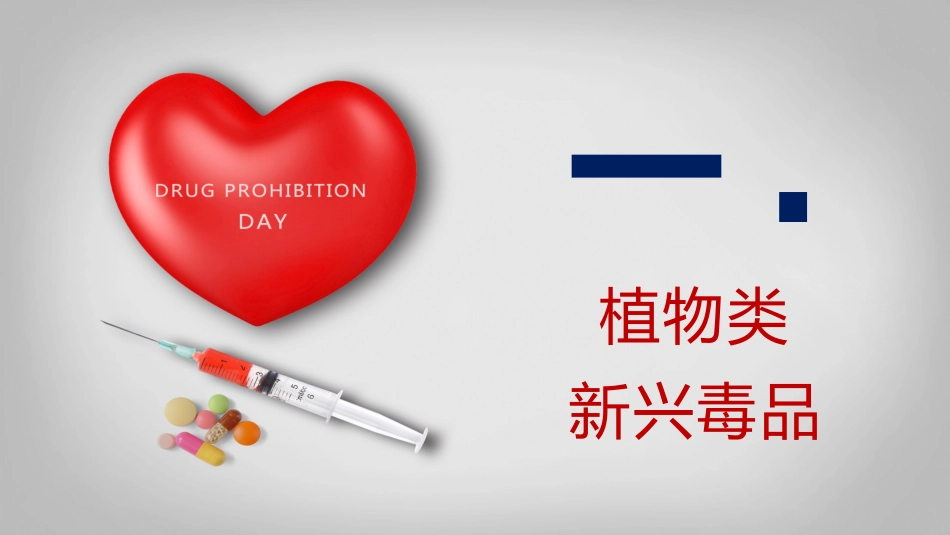 国际禁毒日 禁毒教育课件 (117).pptx_第3页