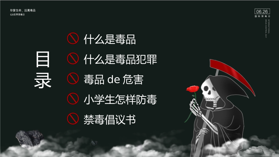 国际禁毒日 禁毒教育课件 (53).pptx_第2页