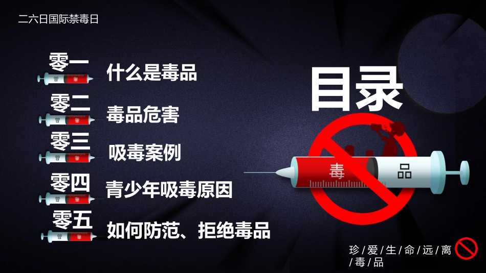 国际禁毒日 禁毒教育课件 (5).pptx_第3页