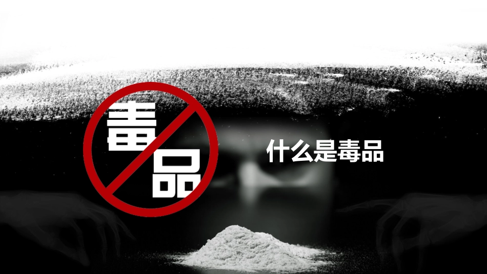 国际禁毒日 禁毒教育课件 (3).pptx_第3页