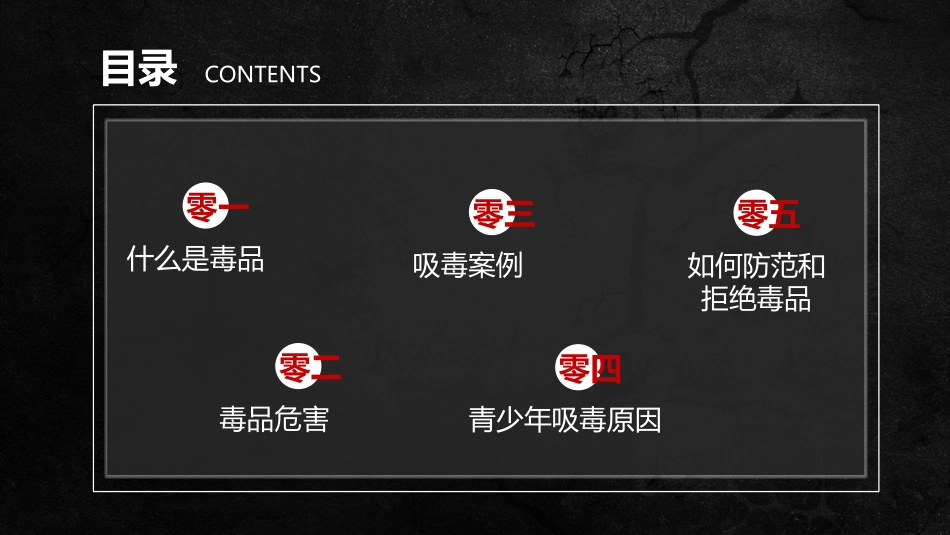 国际禁毒日 禁毒教育课件 (1).pptx_第3页