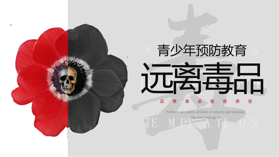 国际禁毒日 禁毒教育课件 (97).pptx_第1页