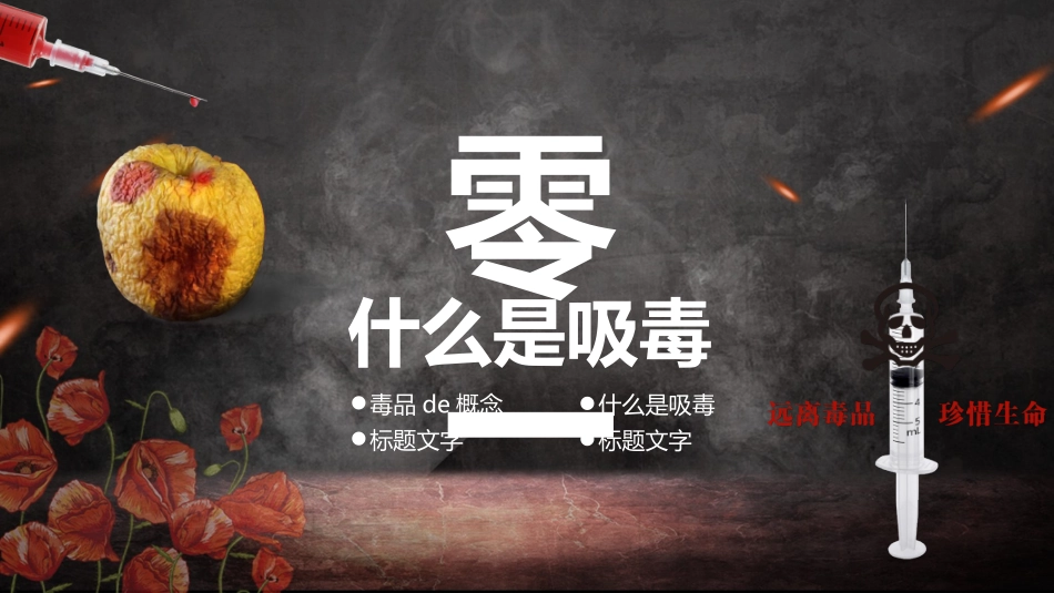 国际禁毒日 禁毒教育课件 (93).pptx_第3页