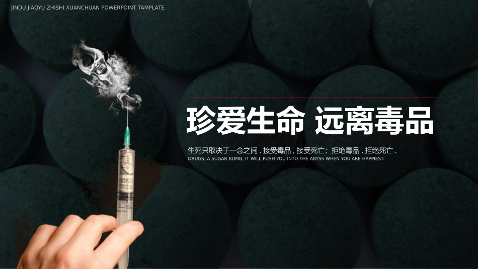 珍爱生命 远离du品41.pptx_第1页