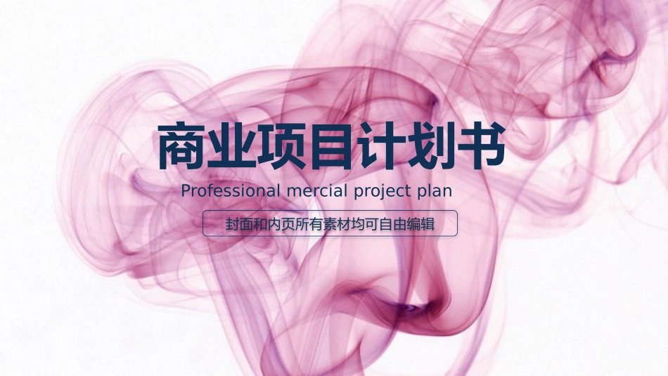项目策划风格PPT模板22(4).pptx_第1页