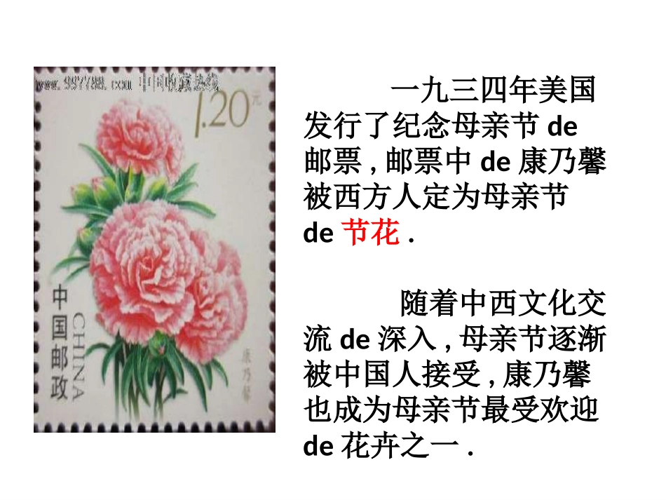 制作康乃馨 (2).pptx_第2页