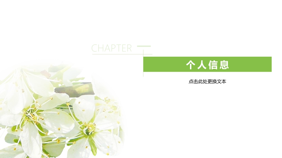 个人简历风格PPT模板51 (2).pptx_第3页