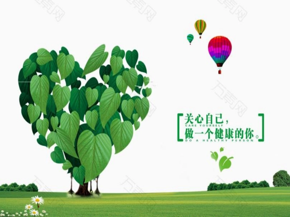 九年级班《做个健康的人》主题班会张PPT (2).pptx_第2页