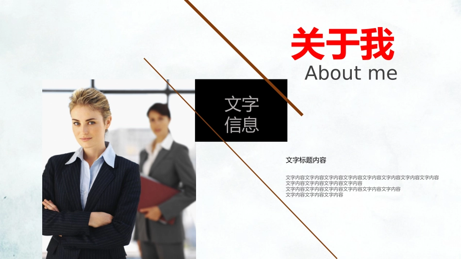 述职报告风格PPT模板33(6).pptx_第2页