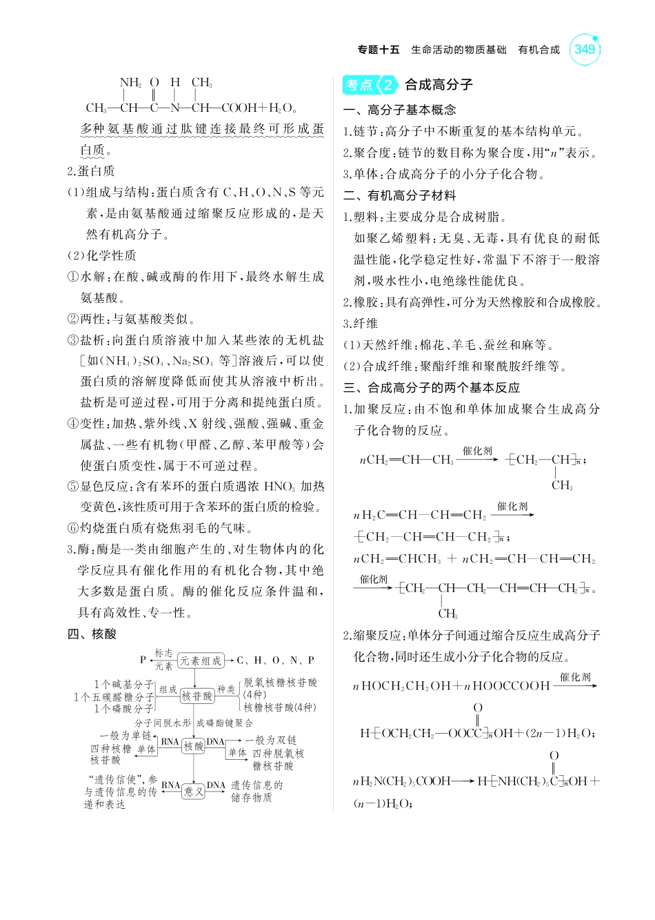 15专题十五生命活动的物质基础有机合成-【高考总复习】2025版新高考化学考点清单+模型清单.pdf_第3页