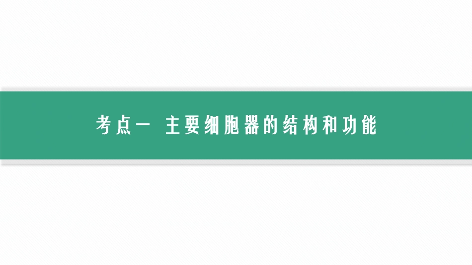 第6讲　细胞器与生物膜系统-【高考生物】2026优化设计一轮复习(生物).pptx_第3页
