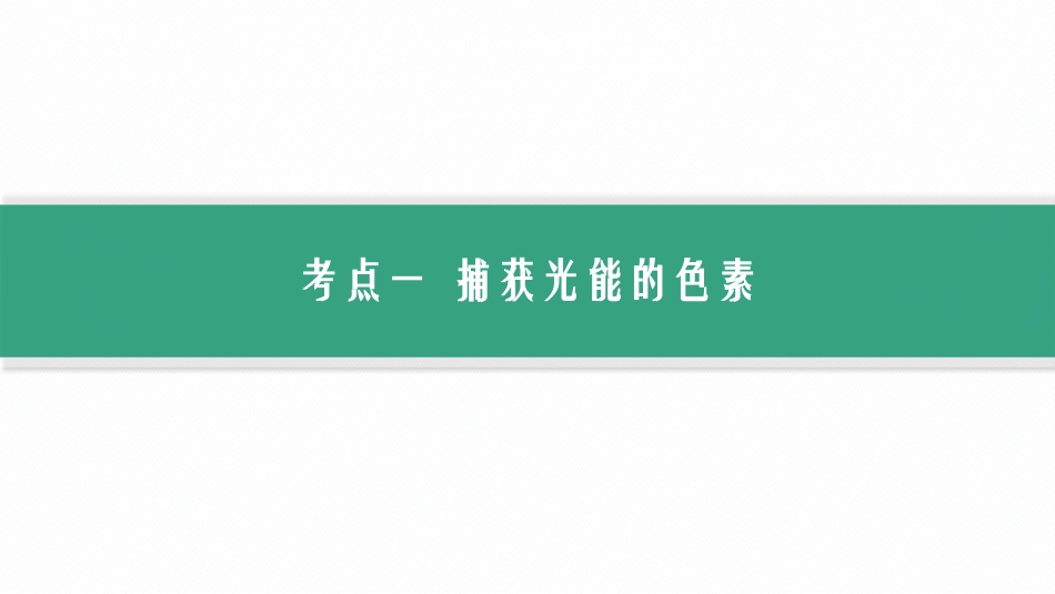 第12讲　第1课时　捕获光能的色素和结构、光合作用原理的探索-【高考生物】2026优化设计一轮复习(生物).pptx_第3页