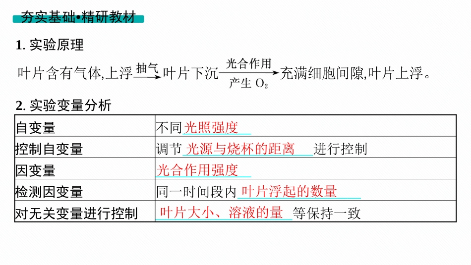 第12讲　第3课时　光合作用的影响因素及其应用-【高考生物】2026优化设计一轮复习(生物).pptx_第3页