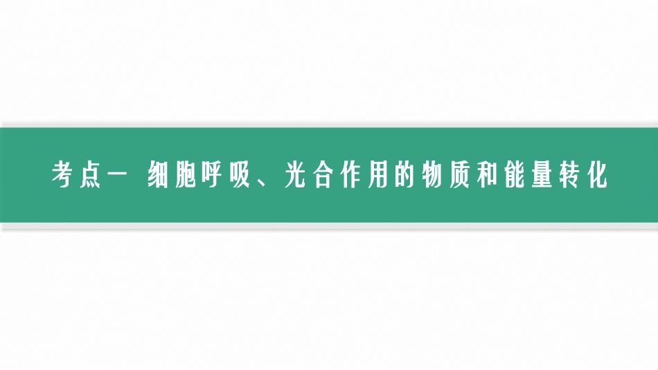 第12讲　第4课时　光合作用、细胞呼吸的联系与综合运用-【高考生物】2026优化设计一轮复习(生物).pptx_第2页