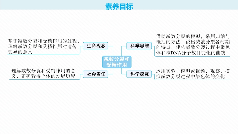 第14讲　第1课时　减数分裂和受精作用过程-【高考生物】2026优化设计一轮复习(生物).pptx_第2页