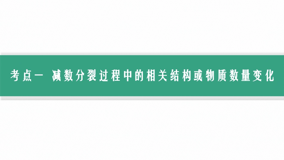 第14讲　第1课时　减数分裂和受精作用过程-【高考生物】2026优化设计一轮复习(生物).pptx_第3页