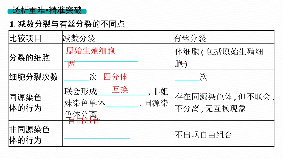 第14讲　第2课时　减数分裂与有丝分裂的比较-【高考生物】2026优化设计一轮复习(生物).pptx_第3页