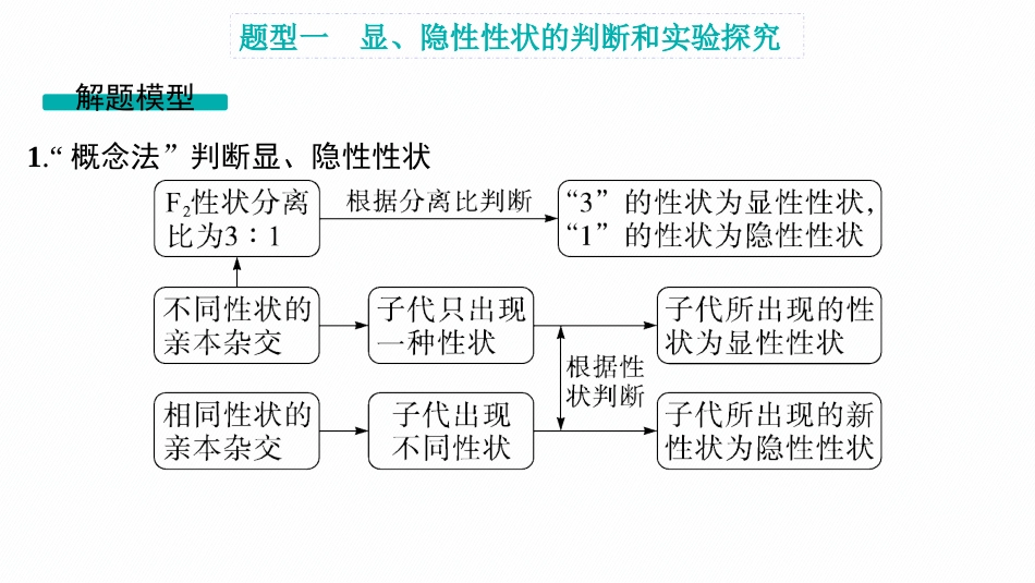 第16讲　第2课时　分离定律的常规解题规律和应用-【高考生物】2026优化设计一轮复习(生物).pptx_第2页